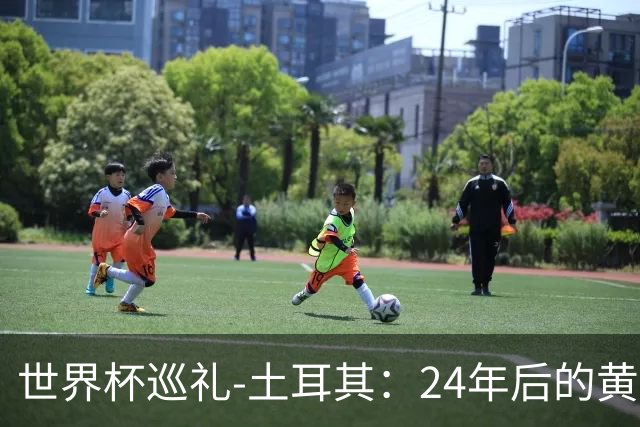 世界杯巡礼-土耳其：24年后的黄金一代，要再次黑马狂奔